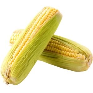 Organic Corn